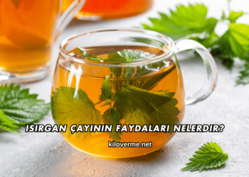 Isırgan Çayının Faydaları Nelerdir?