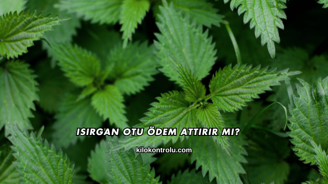 Isırgan Otu Ödem Attırır mı?