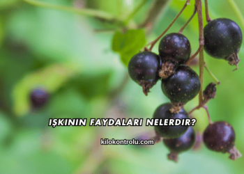 Işkının Faydaları Nelerdir?