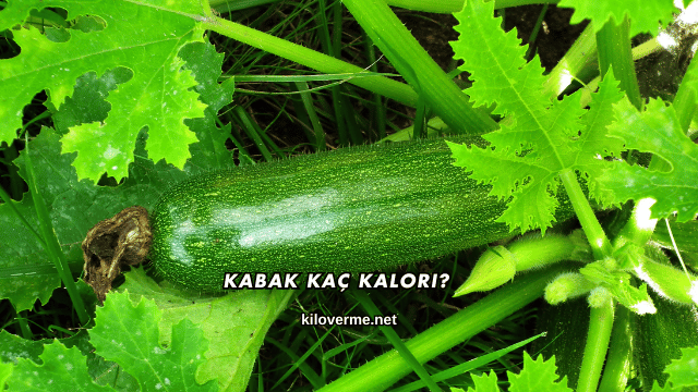 Kabak Kaç Kalori?