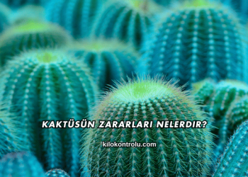 Kaktüsün Zararları Nelerdir?