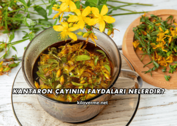 Kantaron Çayının Faydaları Nelerdir?