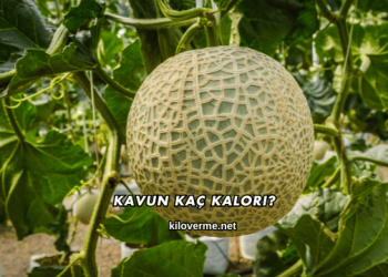 Kavun Kaç Kalori?