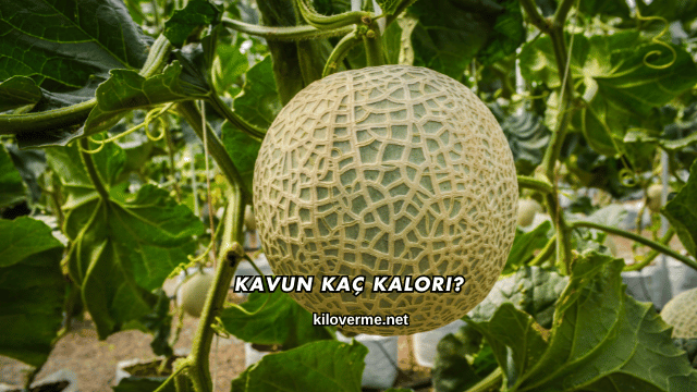 Kavun Kaç Kalori?