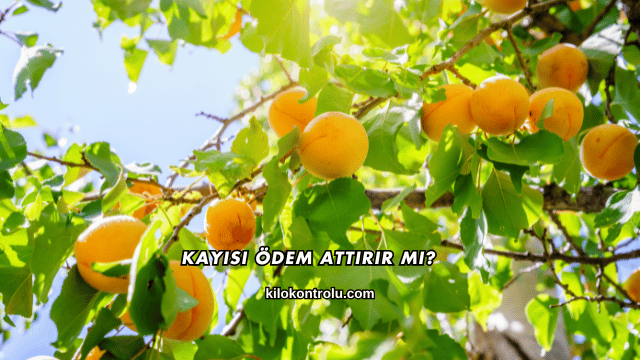 Kayısı Ödem Attırır mı?