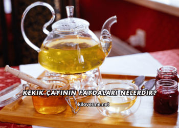 Kekik Çayının Faydaları Nelerdir?