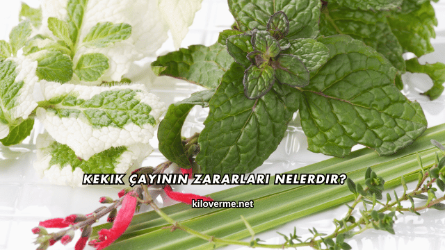 Kekik Çayının Zararları Nelerdir?