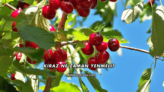 Kiraz Ne Zaman Yenmeli?