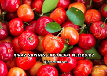 Kiraz Sapının Faydaları Nelerdir?