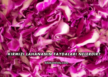Kırmızı Lahananın Faydaları Nelerdir?