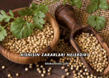 Kişnişin Zararları Nelerdir?