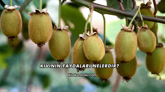 Kivinin Faydaları Nelerdir?