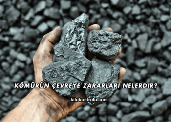 Kömürün Çevreye Zararları Nelerdir?