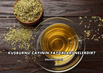 Kuşburnu Çayının Faydaları Nelerdir?