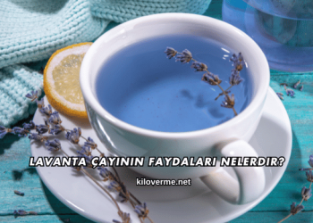 Lavanta Çayının Faydaları Nelerdir?