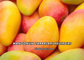 Mangonun Zararları Nelerdir?