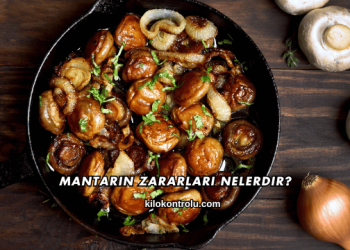 Mantarın Zararları Nelerdir?