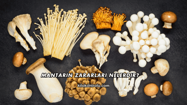 Mantarın Zararları Nelerdir?