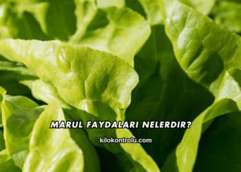 Marul Faydaları Nelerdir?