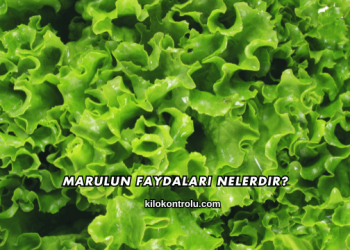 Marulun Faydaları Nelerdir?