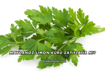 Maydanoz Limon Kürü Zayıflatır mı?