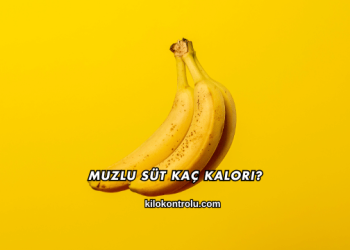 Muzlu Süt Kaç Kalori?