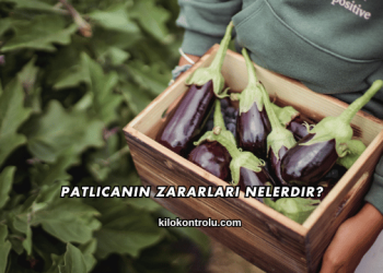 Patlıcanın Zararları Nelerdir?