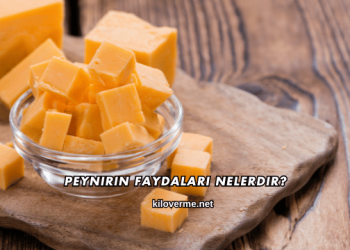 Peynirin Faydaları Nelerdir?