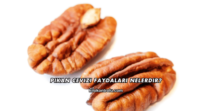Pikan Cevizi Faydaları Nelerdir?