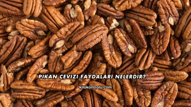 Pikan Cevizi Faydaları Nelerdir?