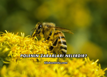 Polenin Zararları Nelerdir?