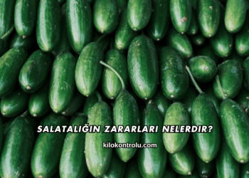 Salatalığın Zararları Nelerdir?