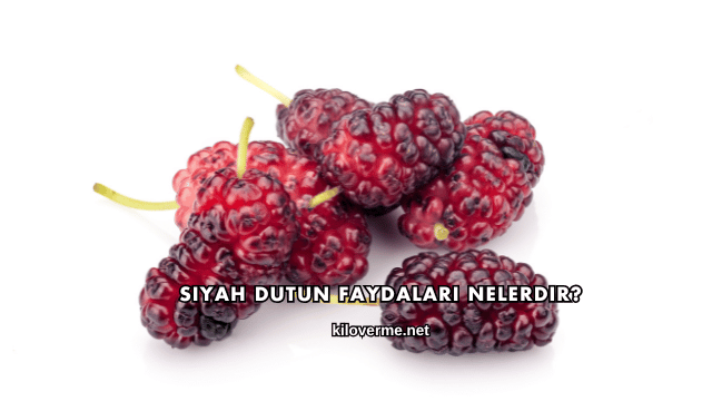 Siyah Dutun Faydaları Nelerdir?