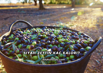Siyah Zeytin Kaç Kalori?