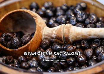 Siyah Zeytin Kaç Kalori?