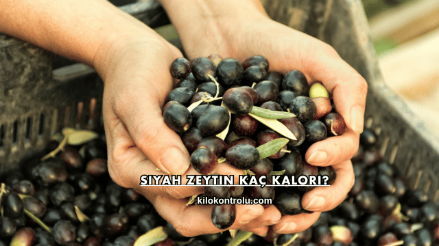 Siyah Zeytin Kaç Kalori?