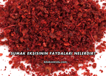 Sumak Ekşisinin Faydaları Nelerdir?