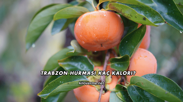 Trabzon Hurması Kaç Kalori?