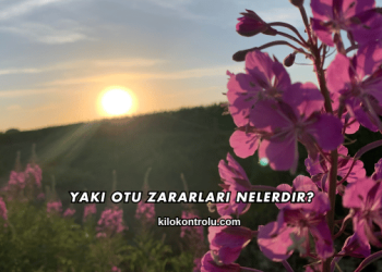 Yakı Otu Zararları Nelerdir?