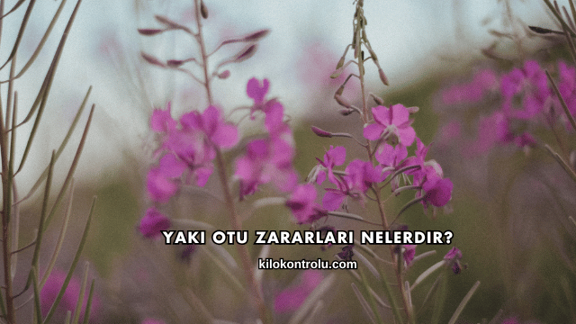Yakı Otu Zararları Nelerdir?