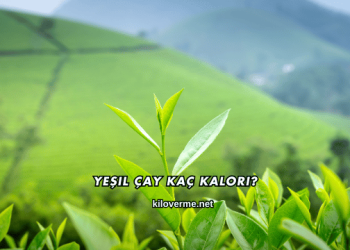 Yeşil Çay Kaç Kalori?