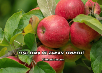 Yeşil Elma Ne Zaman Yenmeli?