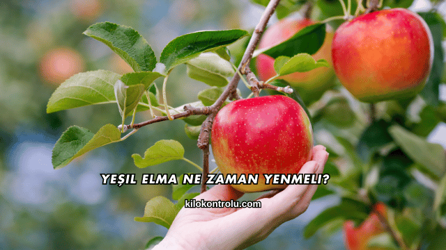 Yeşil Elma Ne Zaman Yenmeli?