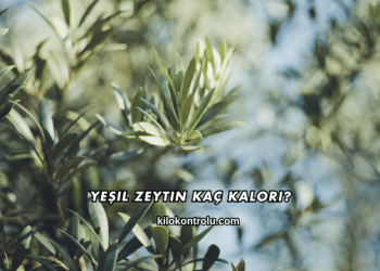 Yeşil Zeytin Kaç Kalori?