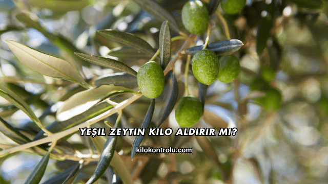 Yeşil Zeytin Kilo Aldırır mı?