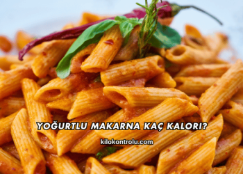 Yoğurtlu Makarna Kaç Kalori?