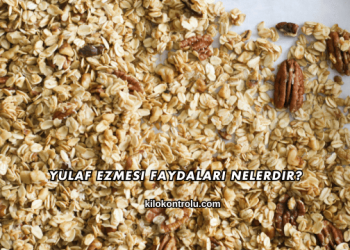 Yulaf Ezmesi Faydaları Nelerdir?