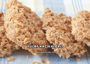 Yulaf Kaç Kalori?