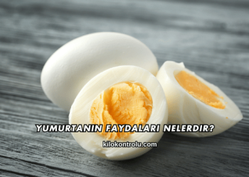 Yumurtanın Faydaları Nelerdir?