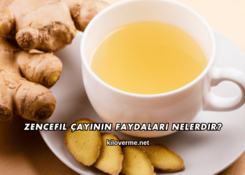 Zencefil Çayının Faydaları Nelerdir?
